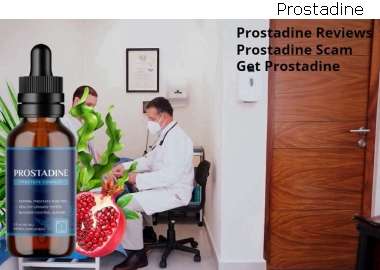 Prostadine 2023